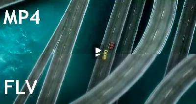 FLV vs MPEG4